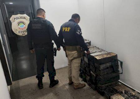 Ação conjunta apreende 649 kg de cocaína em Dois Irmãos do Buriti